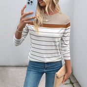 Colorblock Striped Crewneck Long Sleeve Knit Top