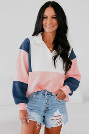 Colorblock Patchwork Snap Button Sweatshirt