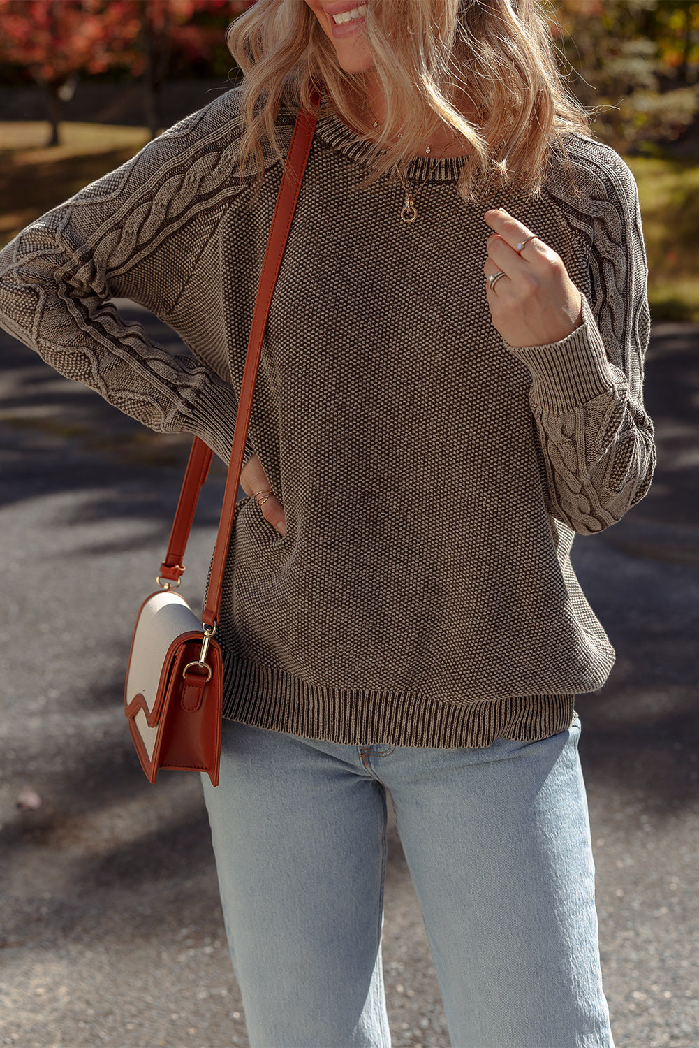 Contrast Cable Knit Sleeve Casual Sweater