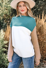Color Block Ribbed Knit Oversized Sweater